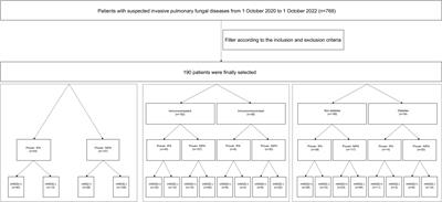 Diagnostic efficacy of metagenomic next generation sequencing in bronchoalveolar lavage fluid for proven invasive pulmonary aspergillosis